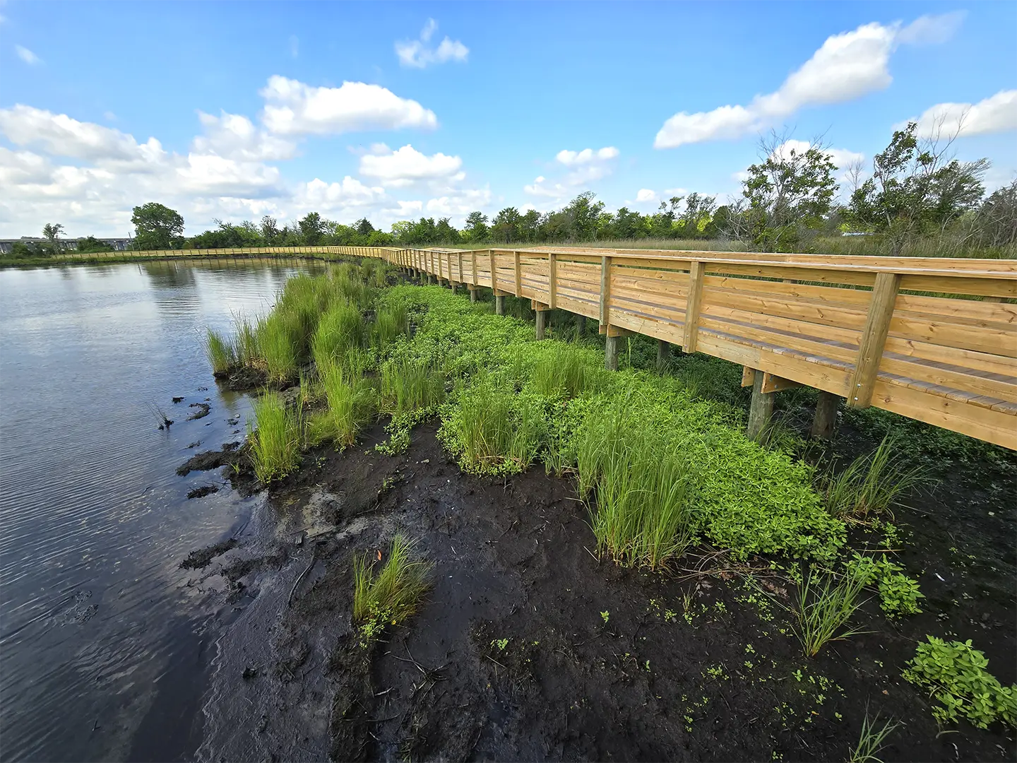 Lawson Creek Park Marshwalk 34 Wood Boardwalk at City of New Bern Lawson Creek Park Marshwalk