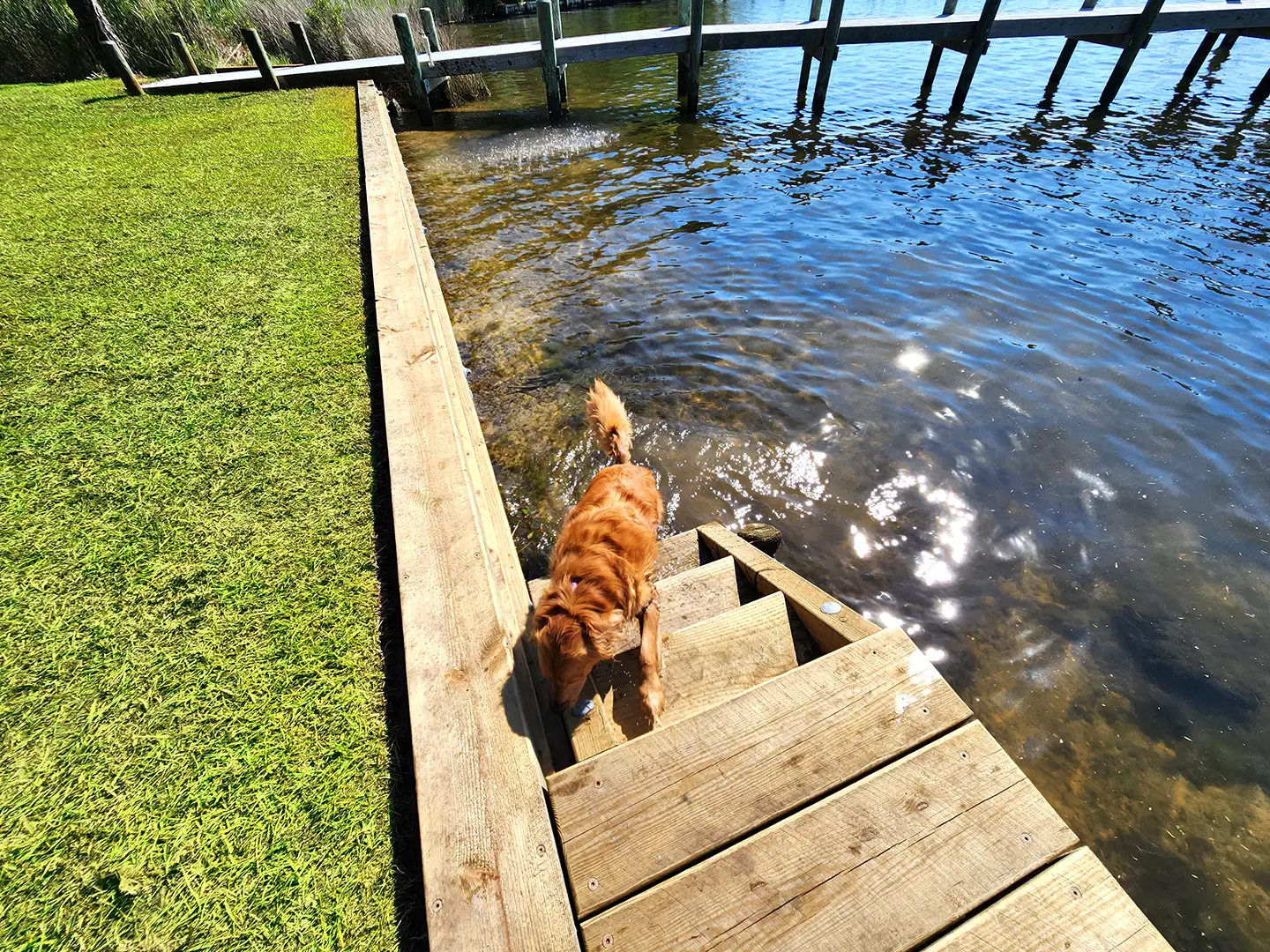 riverfront docks broad creek seawall 4